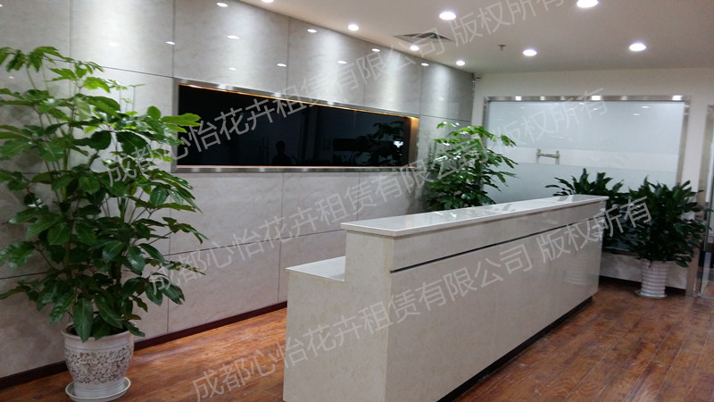 辦公室花卉租擺案例