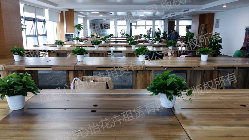 室內盆栽租擺案例