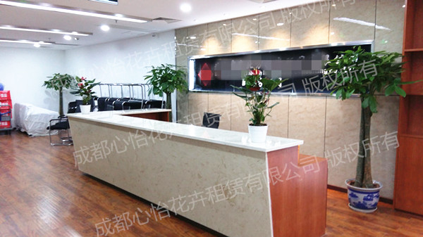 四川辦公室植物租擺