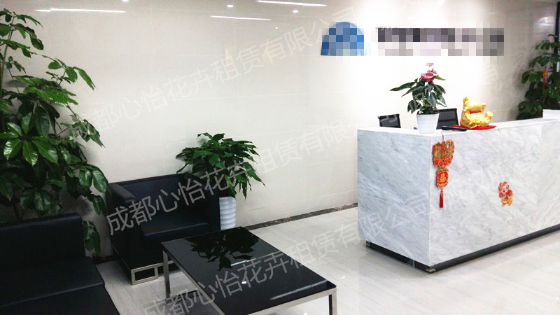 成都辦公室植物出租案例