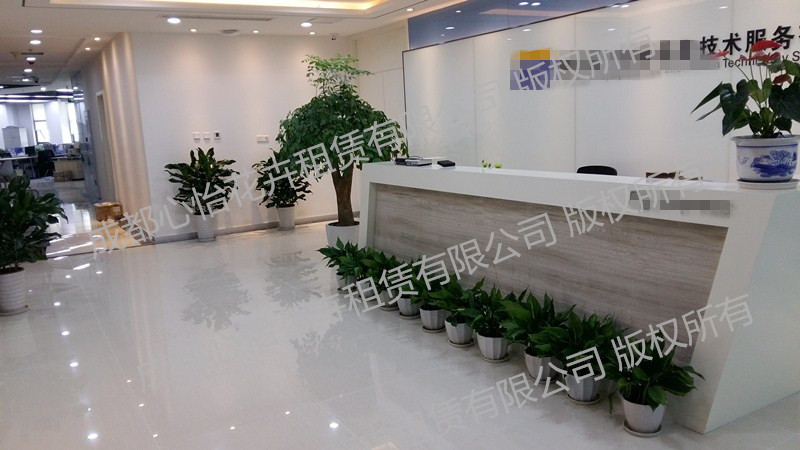 辦公室盆栽租賃案例