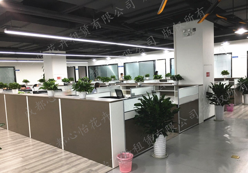 辦公樓綠植租賃