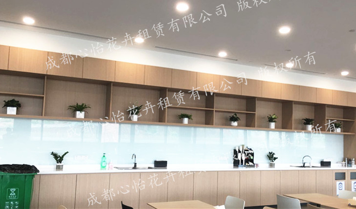 辦公室ins風綠植租擺